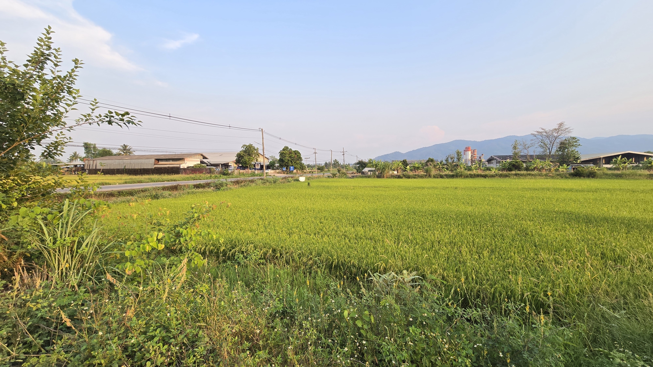 ที่ดินเมืองแม่จัน เชียงราย