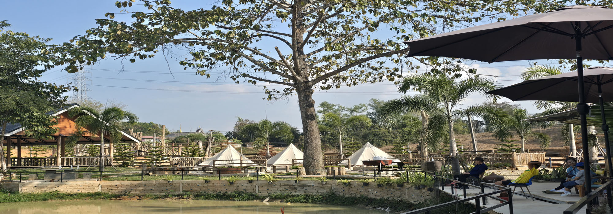 ที่ดินท่าสาย เมืองเชียงราย